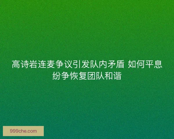 高诗岩连麦争议引发队内矛盾 如何平息纷争恢复团队和谐